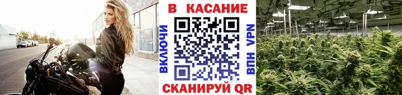 Как найти закладки Сосновый Бор КОКАИН  Бошки Шишки  МЕФ  ГАШ 