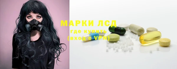 ПСИЛОЦИБИНОВЫЕ ГРИБЫ Арсеньев