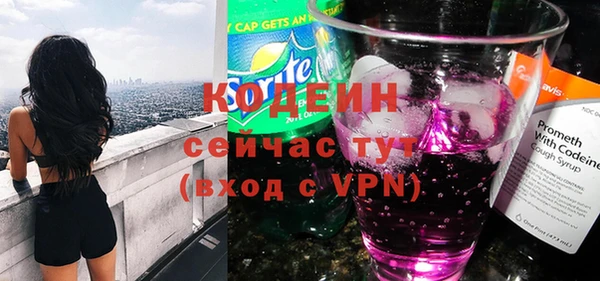 ПСИЛОЦИБИНОВЫЕ ГРИБЫ Арсеньев