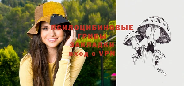 ALPHA PVP Аркадак